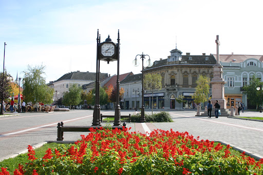 Забрањена вожња бицикала и моторних возила на Градском тргу у Вршцу