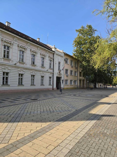 Дани Ковачице